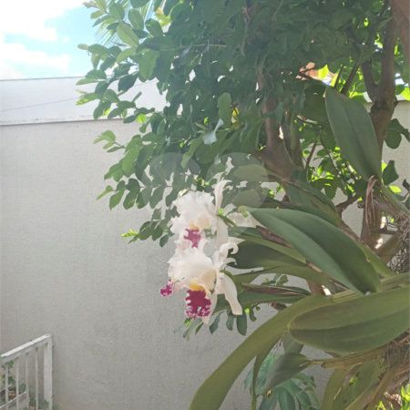 Casa à venda com 3 quartos, sendo 1 suíte, em Jardim Esplanada Ii, Indaiatuba, SP