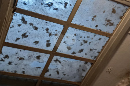 Sobrado à venda com 3 quartos em Aclimação, São Paulo, SP