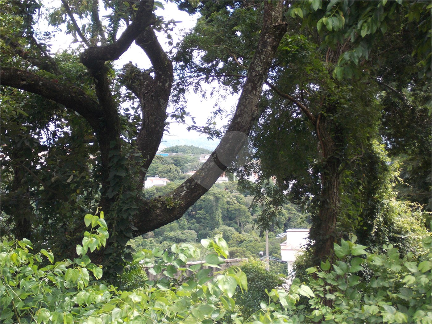 Terreno à venda em Jardim Paulista, Atibaia, SP