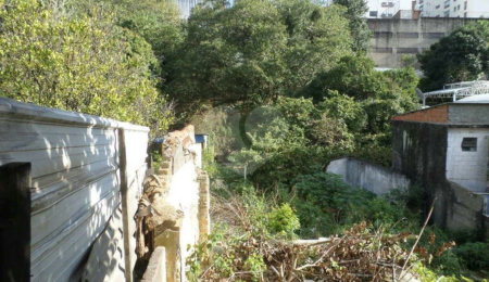 Terreno à venda ou para alugar em Água Fria, São Paulo, SP