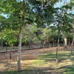 Terreno à venda em Residencial Alto do Castelo, Ribeirão Preto, SP