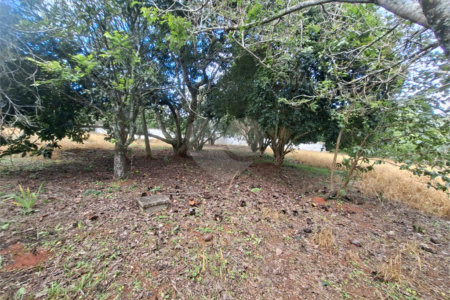 Terreno à venda em Portal da Figueira, Itapetininga, SP
