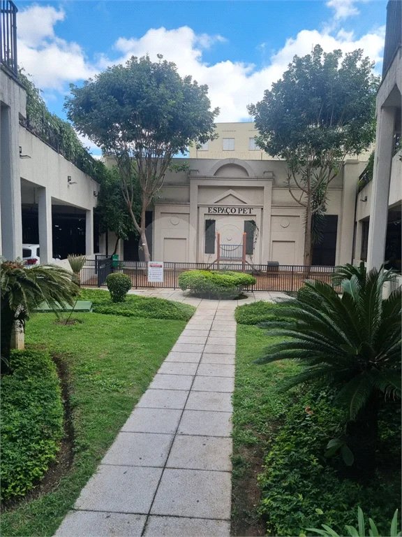 Apartamento à venda com 3 quartos, sendo 1 suíte, em Mandaqui, São Paulo, SP