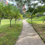 Cobertura à venda com 3 suítes em Jardim Vitória Régia, São Paulo, SP