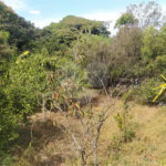 Chácara à venda em Tanquinho - Piracicaba/SP.