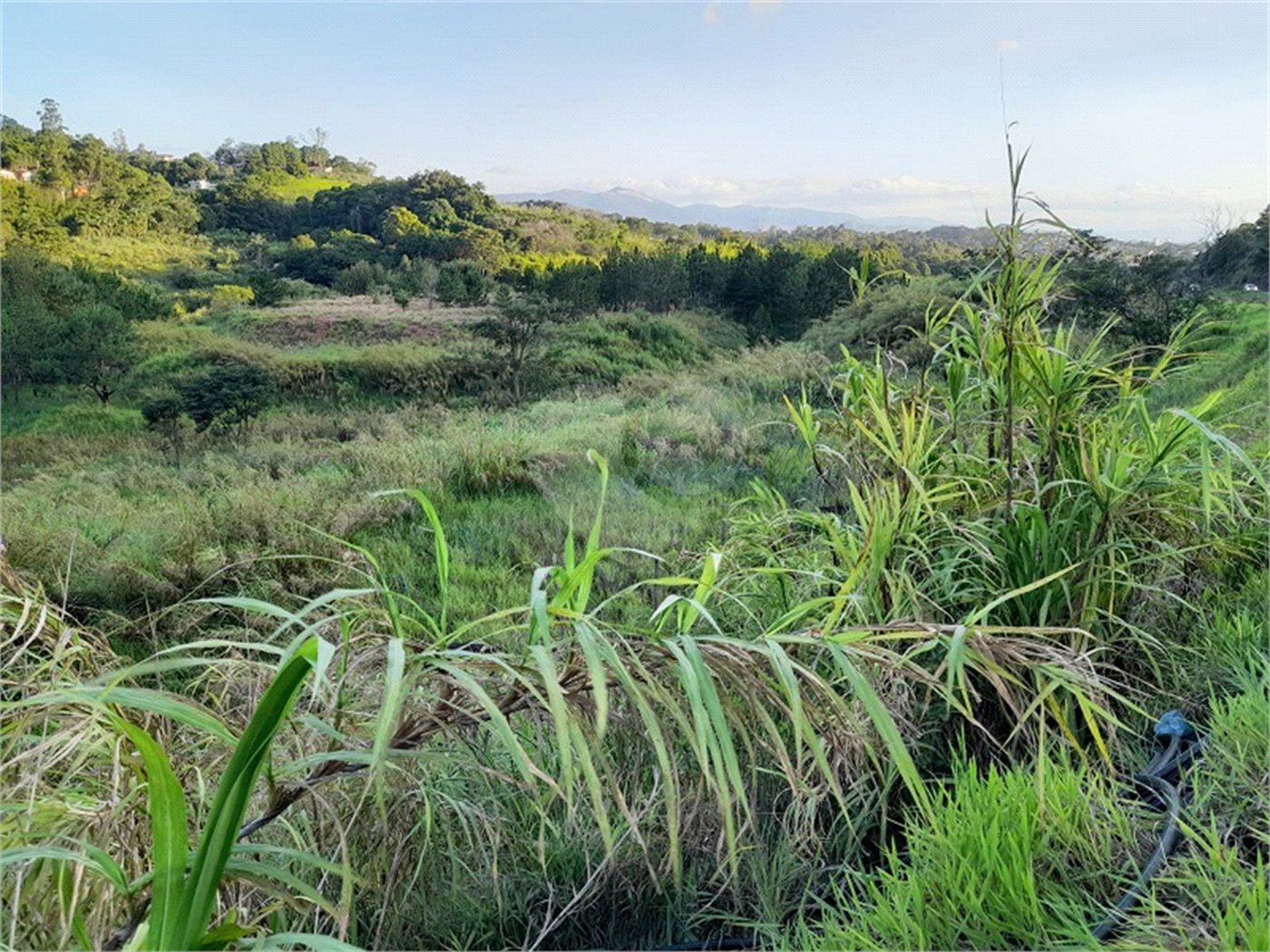 Área de Terra à venda em Três Pistas, Atibaia, SP