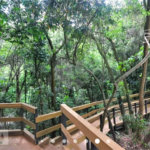 Apartamento para alugar com 1 quarto em Jardim Ampliação, São Paulo, SP