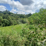 Terreno à venda com 1 quarto em Bairro Biscoito Duro, Itapetininga, SP