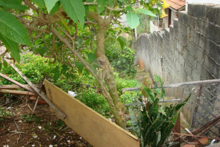 Terreno à venda em Água Fria, São Paulo, SP
