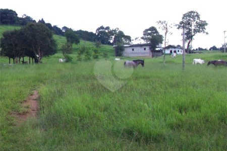 Fazenda à venda com 3 quartos em Cachoeirinha, Bom Jesus dos Perdões, SP