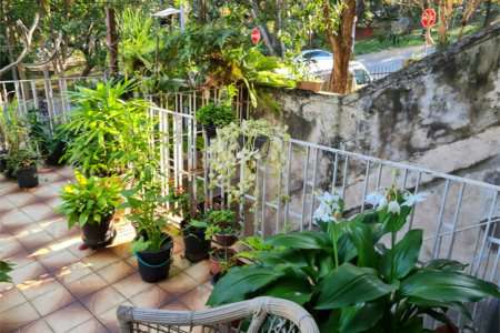 Casa à venda com 3 quartos em Jardim Bonfiglioli, São Paulo, SP