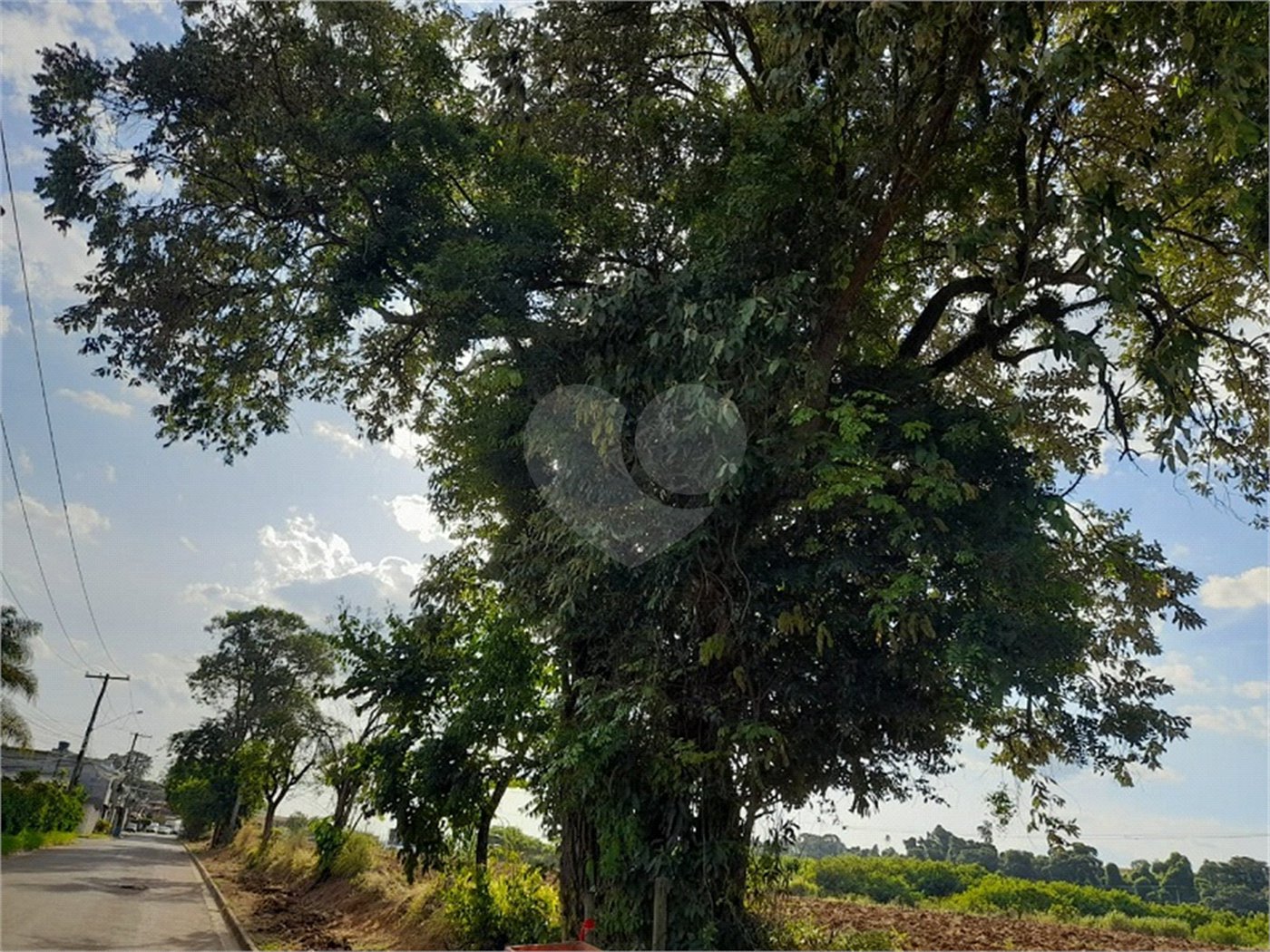 Área de Terra à venda em Nova Trieste, Jarinu, SP