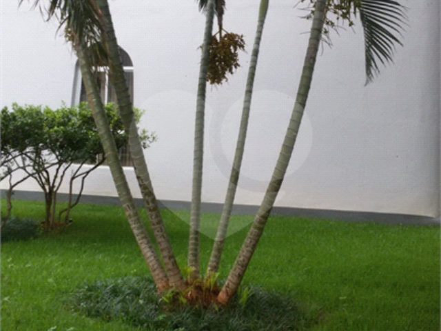 Apartamento à venda com 3 quartos, sendo 1 suíte,  em Ipiranga, São Paulo, SP