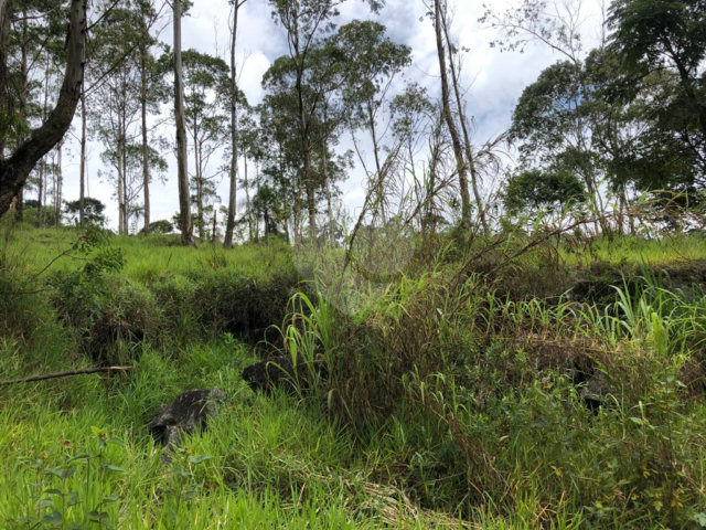 Terreno à venda em Serra da Cantareira, Mairiporã, SP