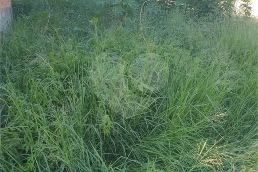 Terreno de 372m² à venda no Jardim Caldense