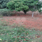 Terreno à venda em Chácara Fernão Dias, Bragança Paulista, SP