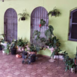 Casa à venda com 3 quartos, sendo 1 suíte, em Itaquera, São Paulo, SP