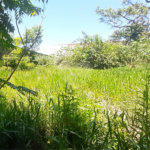 Terreno à venda em Jardim Shangri-lá, Atibaia, SP
