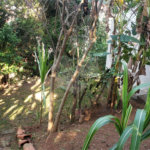 Sobrado à venda com 3 quartos, sendo 1 suíte, em Horto, São Paulo, SP