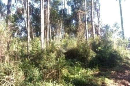 Terreno à venda em Estância Angelina, Suzano, SP
