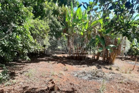 Sitio São João - Km 258
