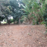 Terreno à venda em Vila Judite, Itapetininga, SP