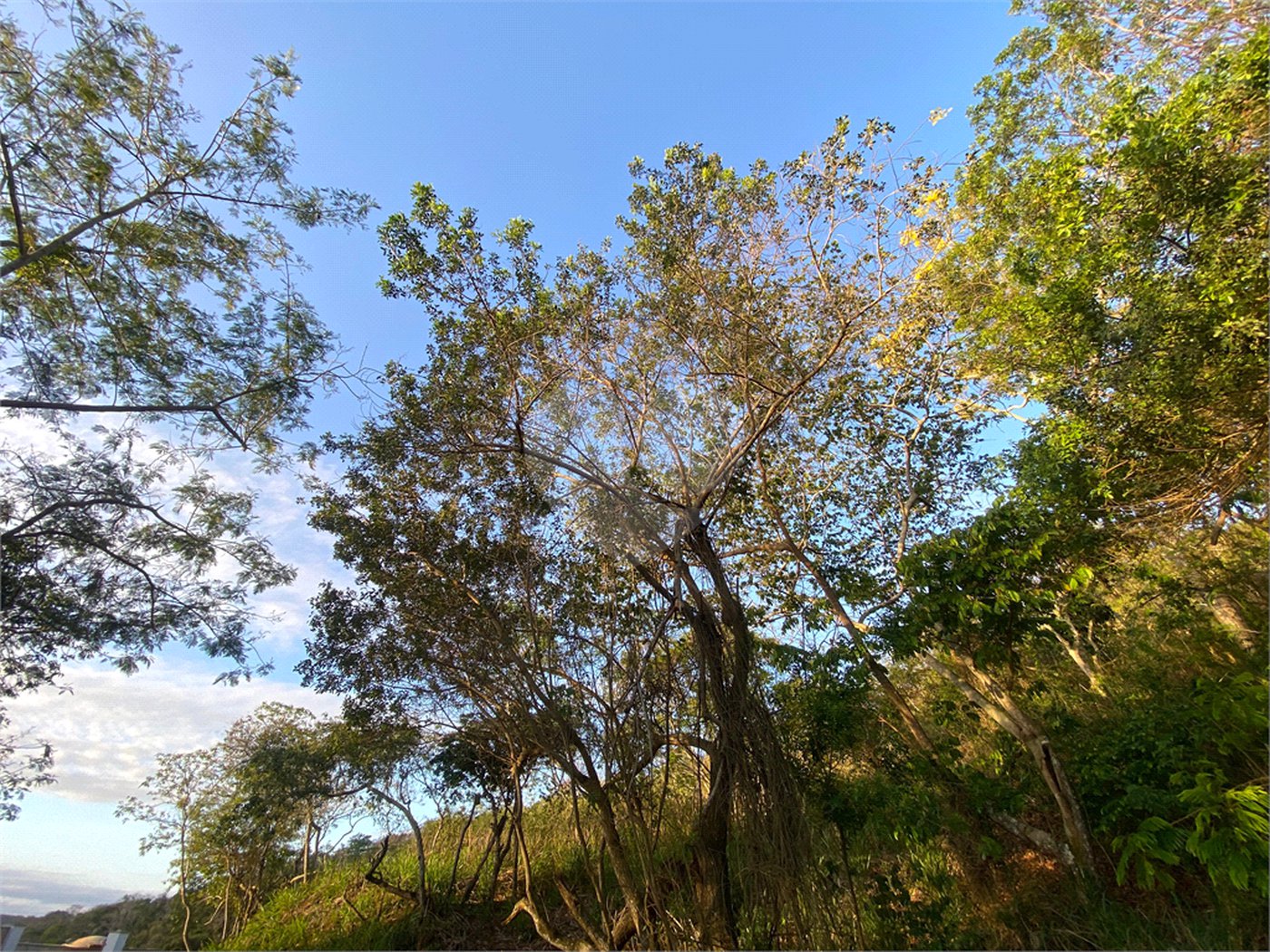 Terreno à venda em Albatroz, Armação dos Búzios, RJ