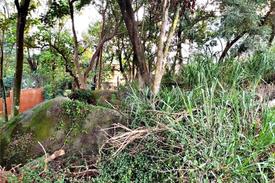 Terreno à venda em Tucuruvi, São Paulo, SP