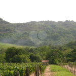 Área de Terra à venda em Colinas do Mosteiro de Itaici, Indaiatuba, SP