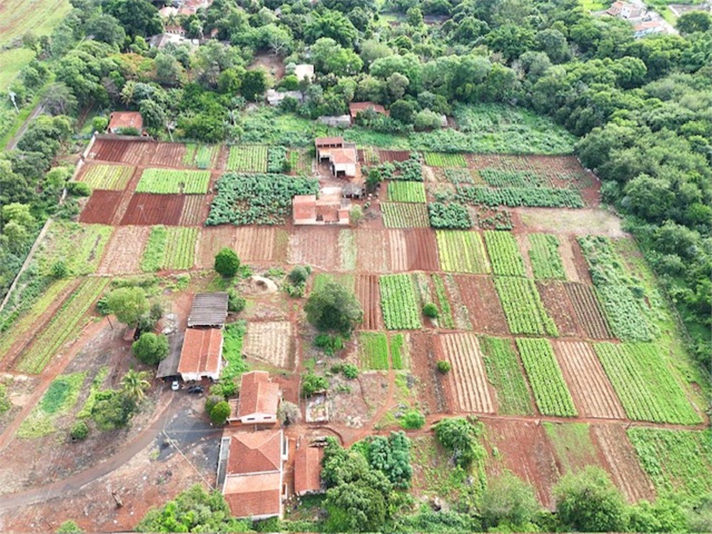 Terreno à venda em Jardim Itaú, Ribeirão Preto, SP