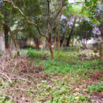 Terreno à venda em Alto da Boa Vista, São Paulo, SP