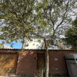 Sobrado à venda com 4 quartos, sendo 2 suítes,  em Vila Mariana, São Paulo, SP