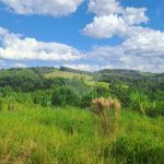 Terreno à venda no condomínio Arataba, Louveira - SP
