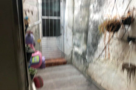 Casa Térrea à venda com 2 quartos em Santa Teresinha, São Paulo, SP