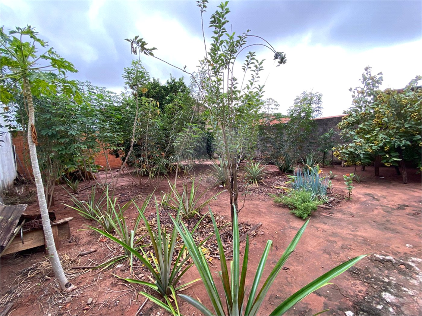 Casa à venda com 2 quartos em Jardim Angélica, Três Lagoas, MS