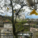 Apartamento à venda com 3 quartos, sendo 2 suítes, em Tremembé, São Paulo, SP