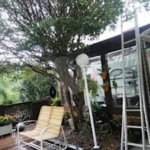 Casa à venda com 4 quartos, sendo 3 suítes, no condomínio Residencial Jardim Itatinga, São Paulo - SP