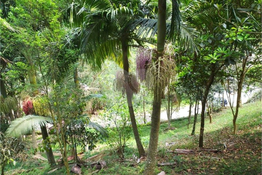 Casa à venda com 4 suítes no condomínio Parque Imperial, Mairiporã - SP