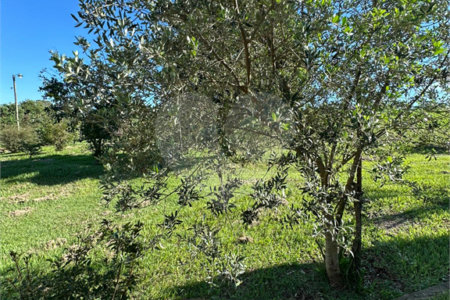 Chácara à venda com 3 quartos, sendo 1 suíte, em Pedro Juan Caballero, Amambay