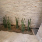 Apartamento Residencial à venda, Gonzaga, Santos - AP1414.