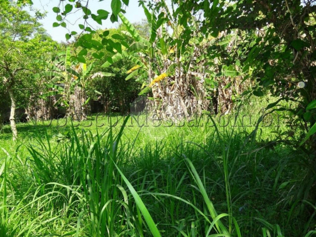 Terreno à venda em Horto Florestal, São Paulo, SP