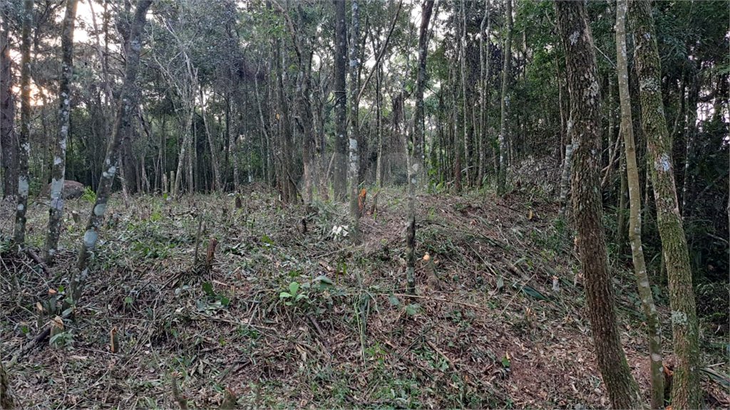 Terreno à venda em Serra da Cantareira, Mairiporã, SP