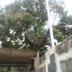 Terreno à venda em Santana, São Paulo, SP