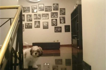 Sobrado à venda com 5 quartos, sendo 2 suítes, em Brooklin Paulista, São Paulo, SP