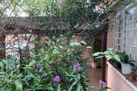 Casa Térrea à venda com 3 quartos em Chácara Santo Antônio (zona Sul), São Paulo, SP