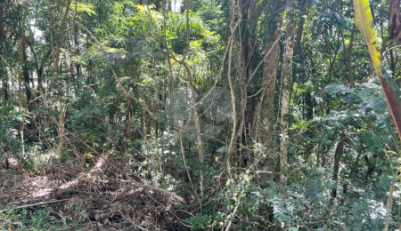Terreno à venda no condomínio Cantareira, Mairiporã - SP