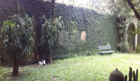 Casa Térrea à venda com 4 quartos, sendo 1 suíte,  em Granja Julieta, São Paulo, SP