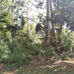 Terreno à venda no condomínio Suíça da Cantareira, Mairiporã - SP
