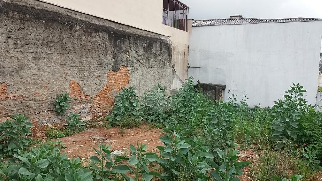 Terreno à venda em Limão, São Paulo, SP