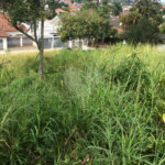 Terreno à venda em Tremembé, São Paulo, SP